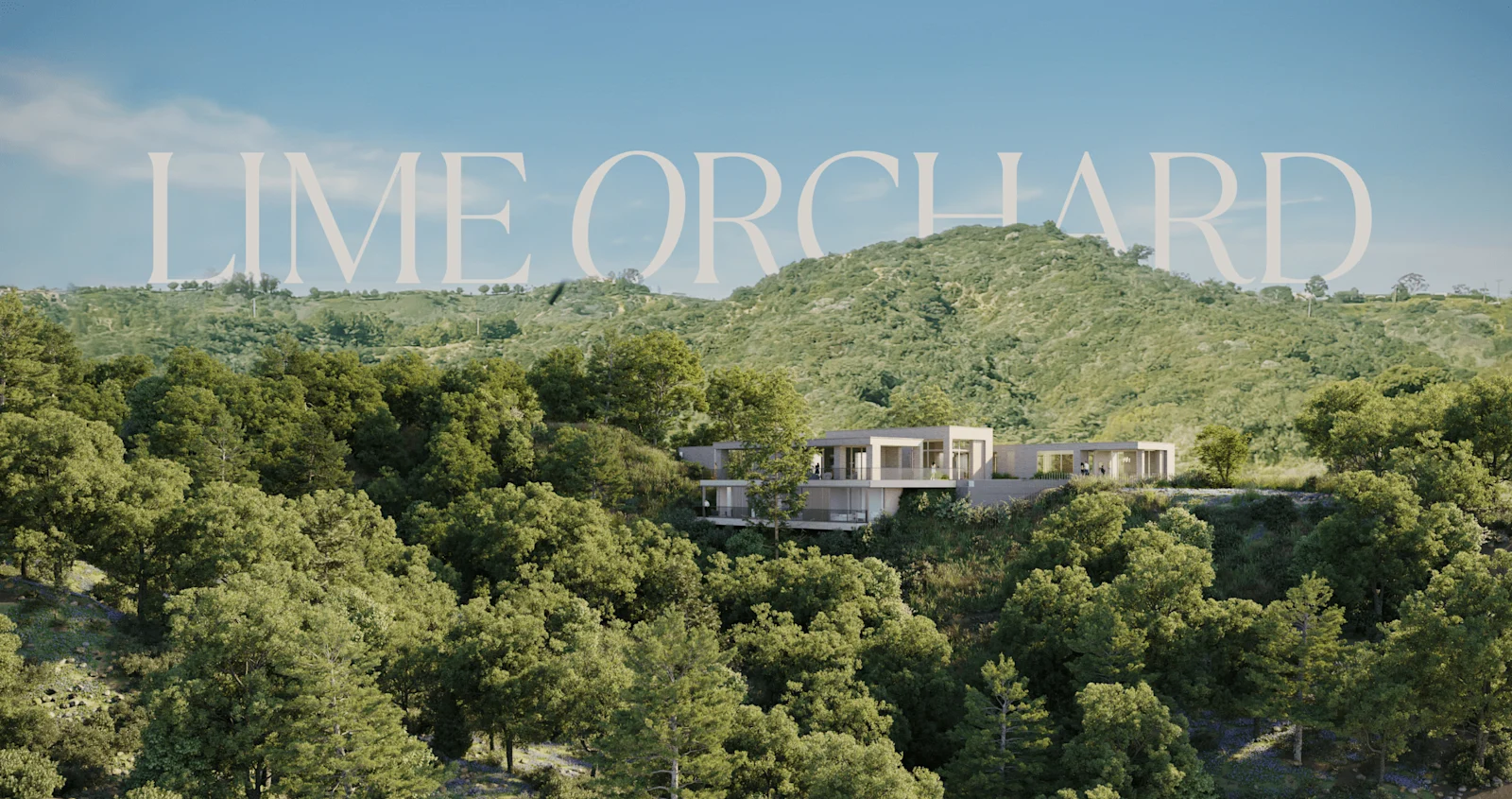 Lime Orchard — case study image 1